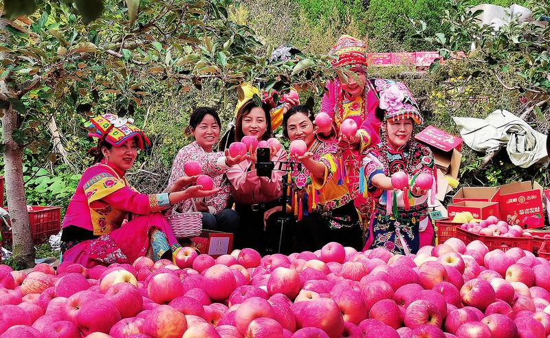 直播带货让凤县苹果走进千家万户