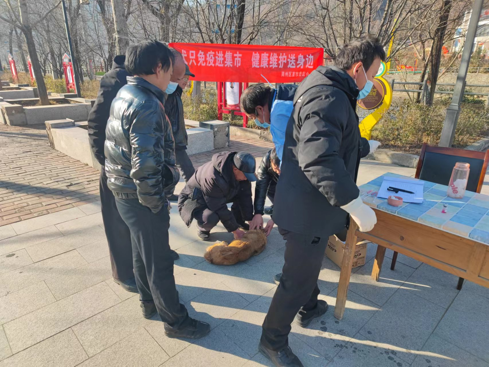 图片1.png