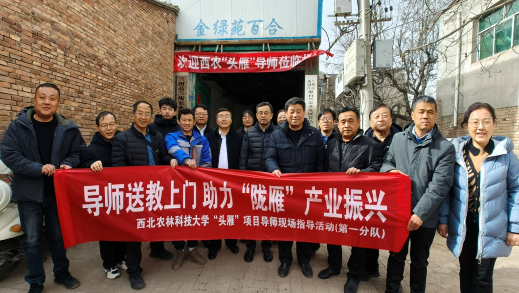 图片15
